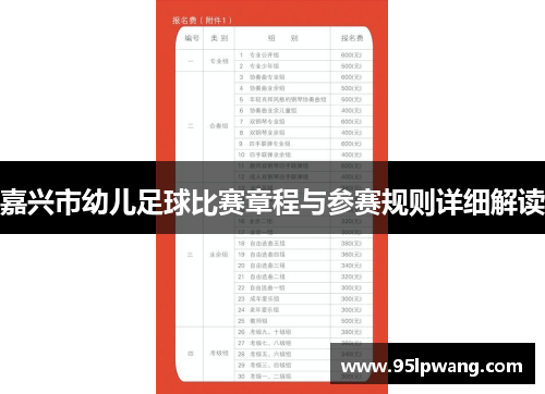 嘉兴市幼儿足球比赛章程与参赛规则详细解读